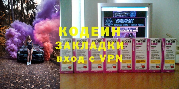 шишки Арсеньев